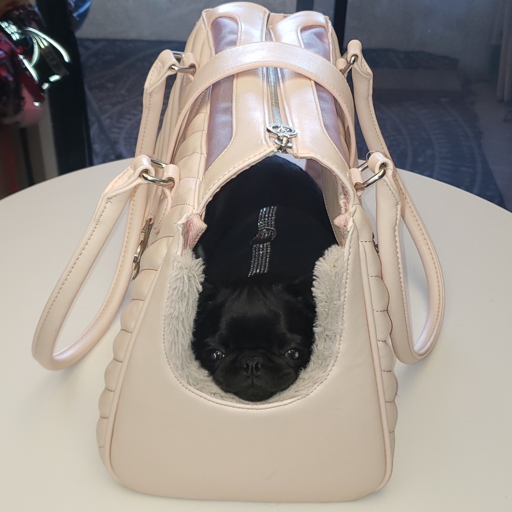 VANDERPUMP MONOGRAMME CHAIN PET CARRIER